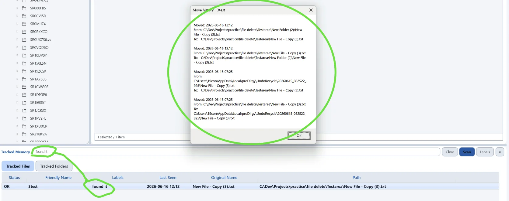 proDirgy tracked file relinking and movement history